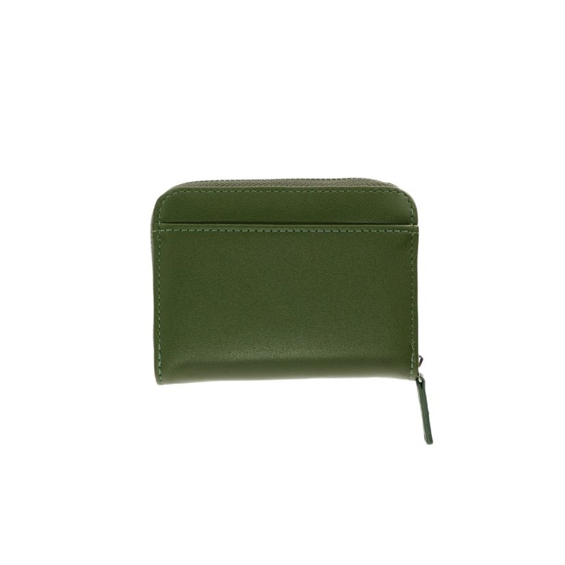 PEŇAŽENKA NA MINCE