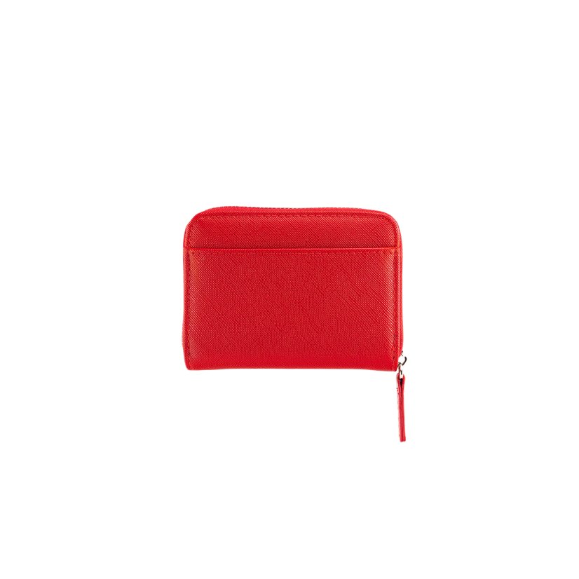 PEŇAŽENKA NA MINCE