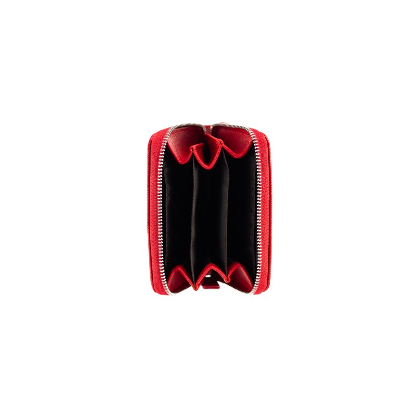 PEŇAŽENKA NA MINCE